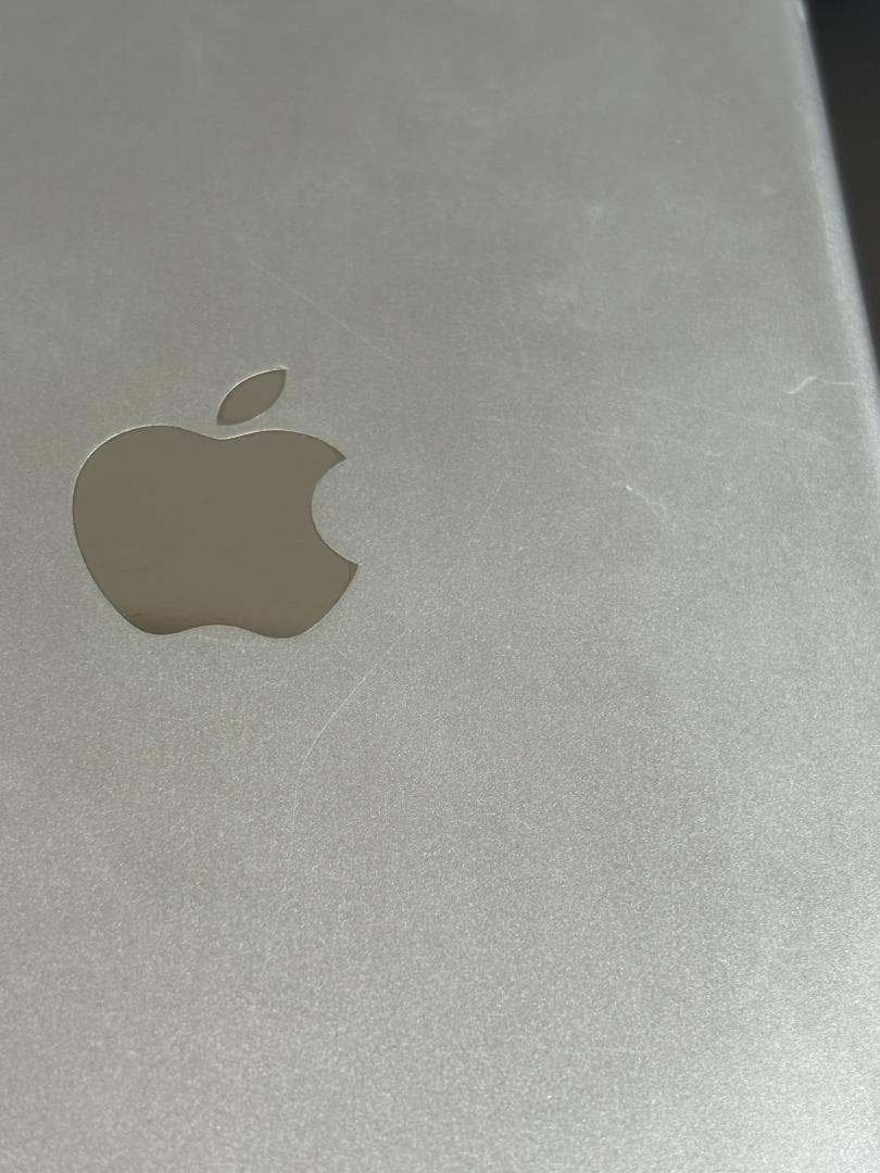 iPad mini 4 16GB wifi シルバー （りん）