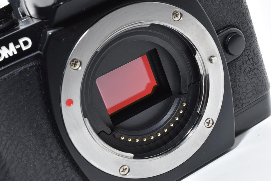 ★美品★オリンパス OLYMPUS OM-D E-M10 ボディ #21608