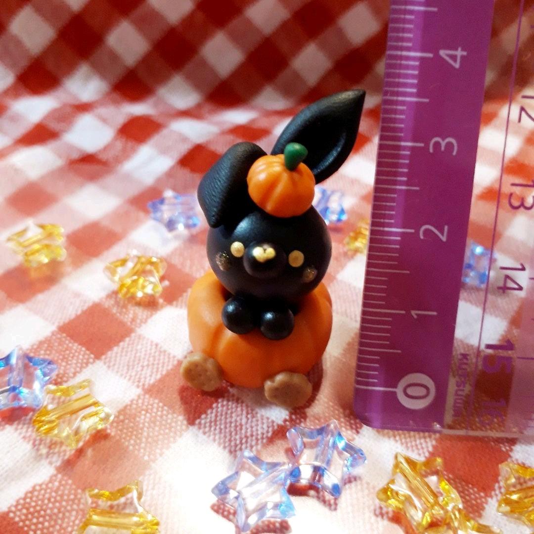 カボチャの馬車☆黒うさぎちゃん