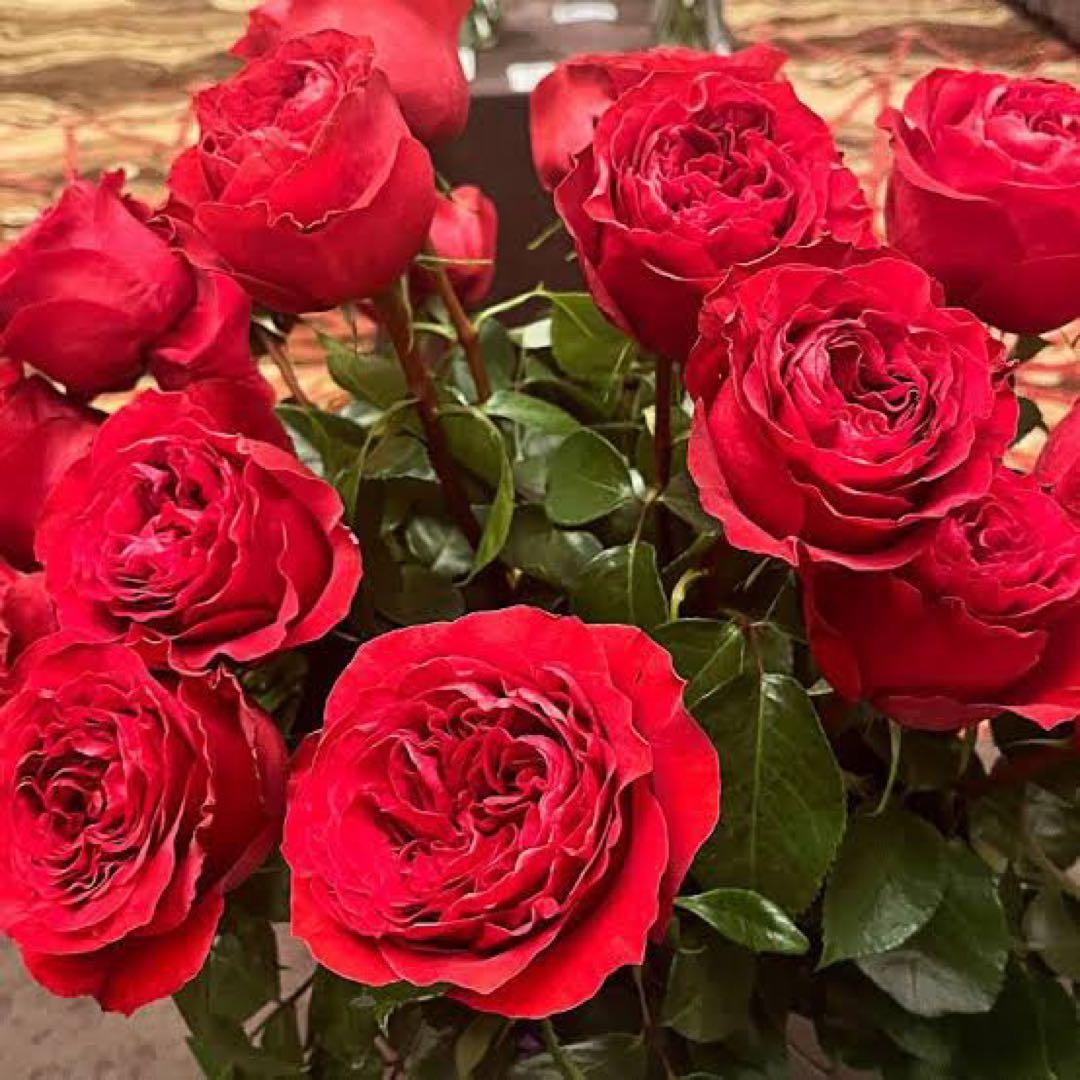 レア薔薇　切り花品　Vic。。。 red