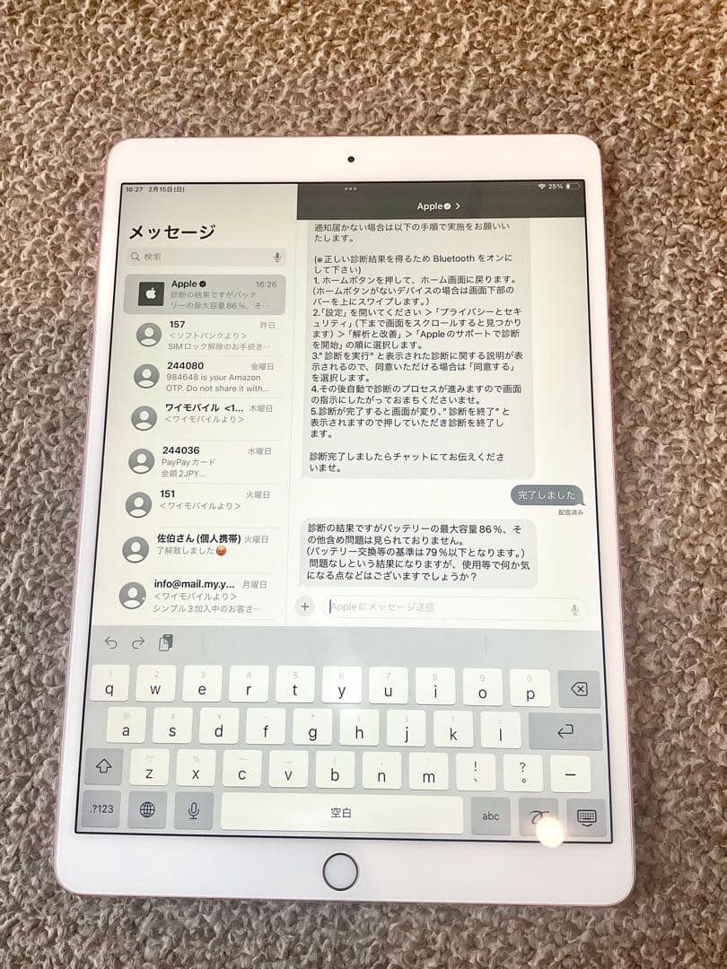 iPad Pro 10.5inch 256GB アイパッドプロ 本体 Wi-Fi