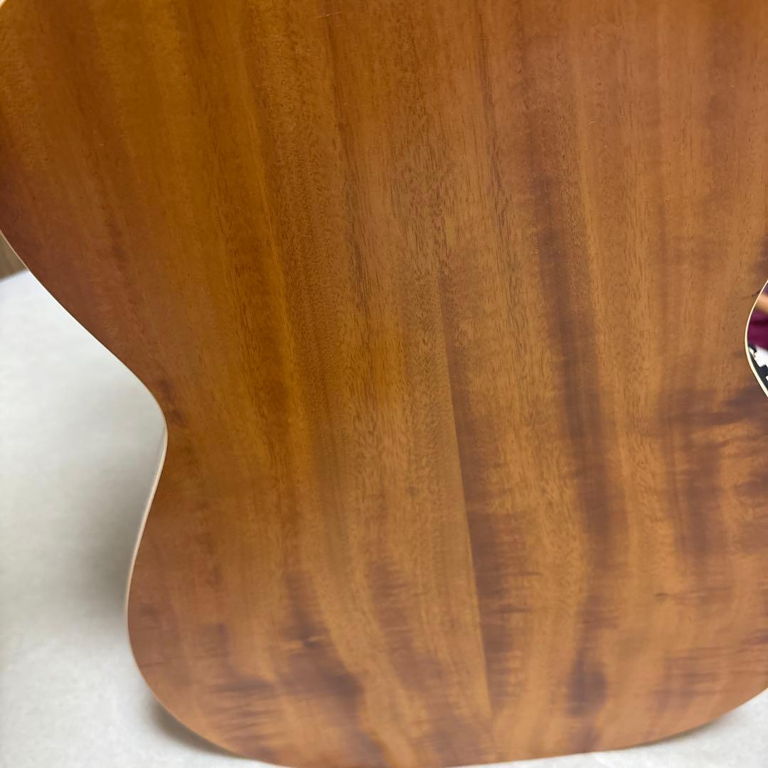 maton 808 TE ジャンク