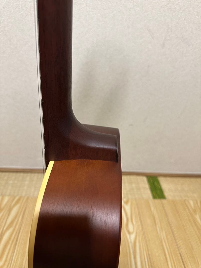 シーガル Seagull Grand パーラーギター【専用ハードケース付】