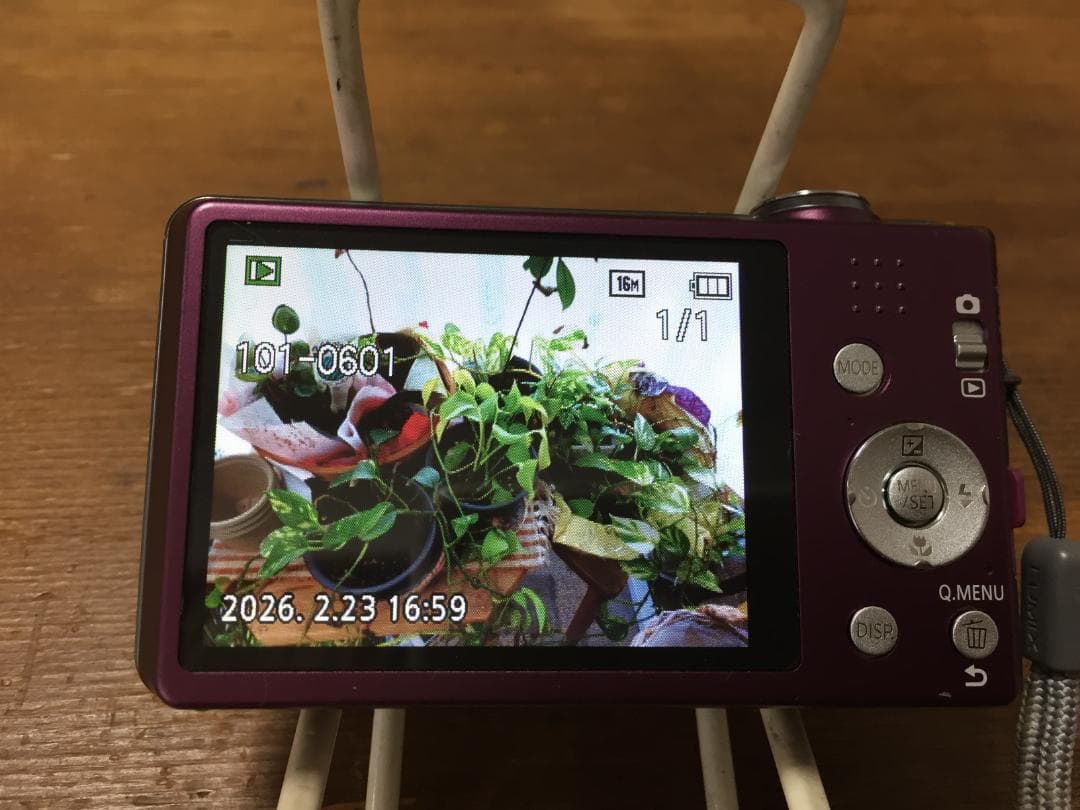 美品 撮影画像あり　Panasonic　DMC-FH5　付属品有　専用ケース付