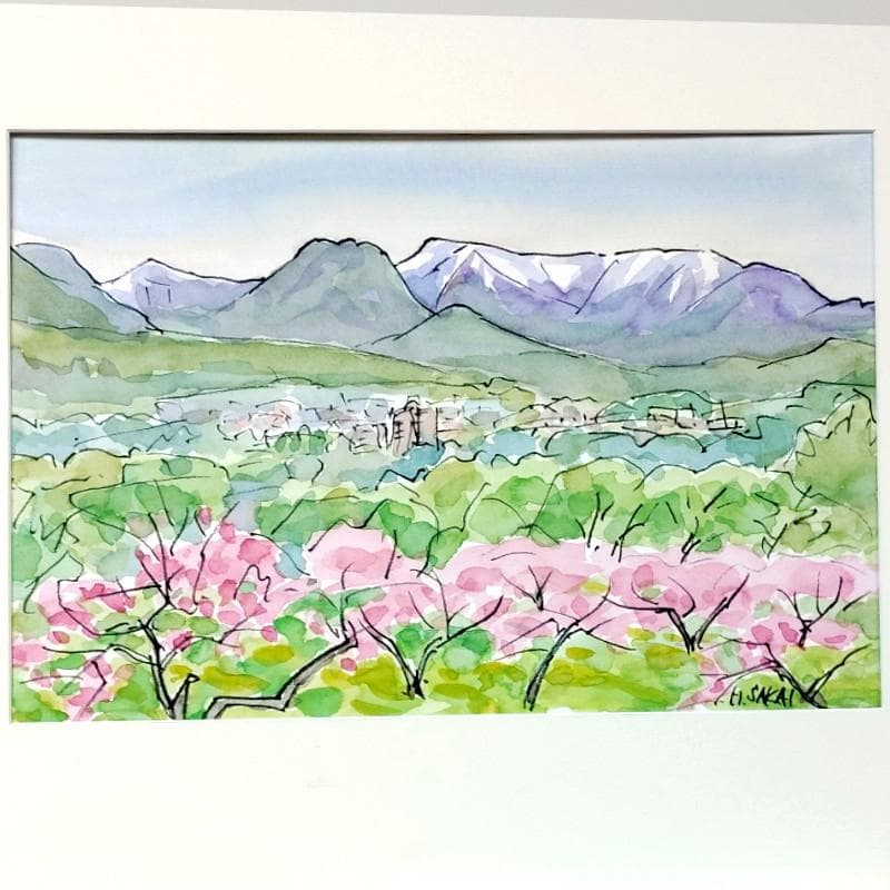 ☆ 境　肇 ☆「白川桃園より札幌岳を望む」水彩画　大衣　新品額！