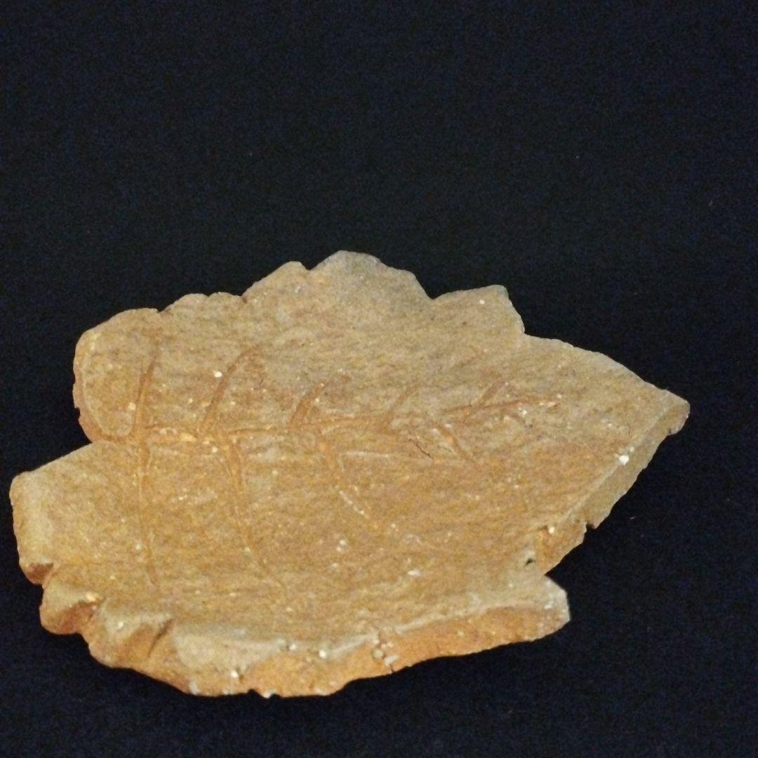 辻清明　信楽　木の葉皿