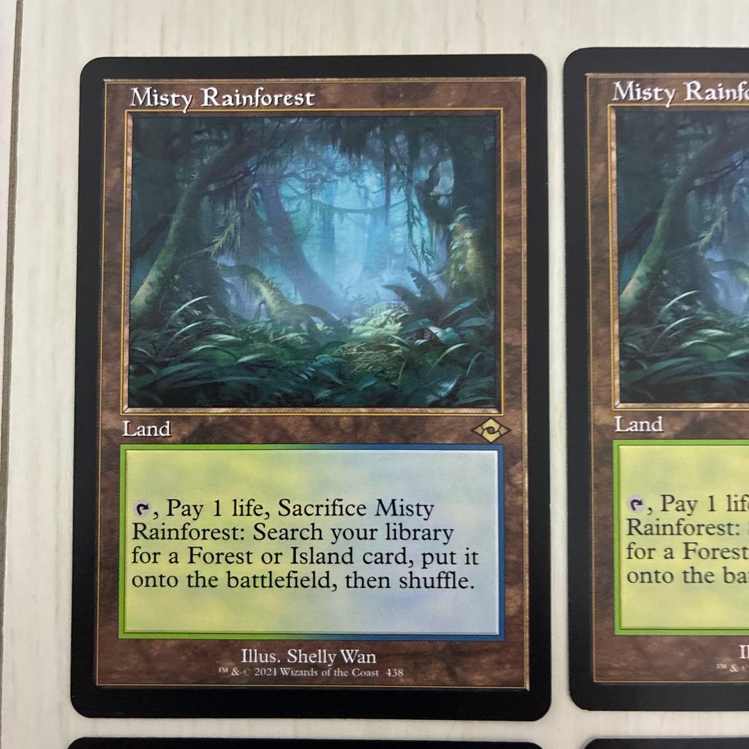 霧深い雨林　Misty Rainforest 4枚セット