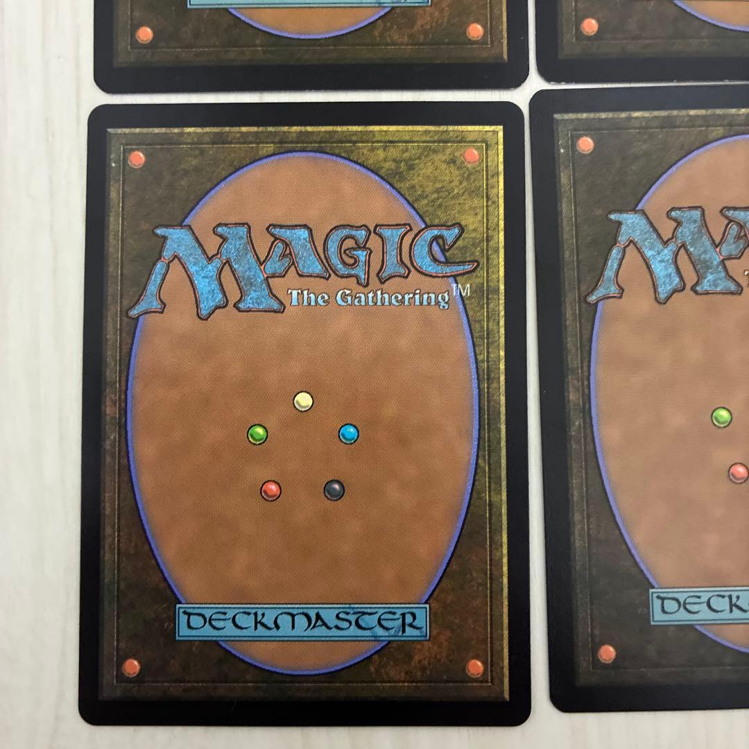 霧深い雨林　Misty Rainforest 4枚セット