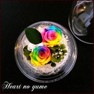 プリザーブドフラワーレインボーローズドーム