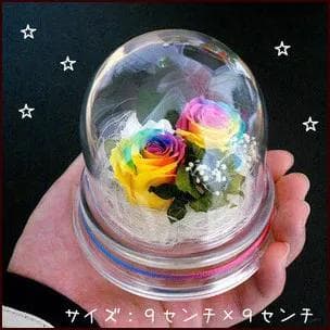 プリザーブドフラワーレインボーローズドーム