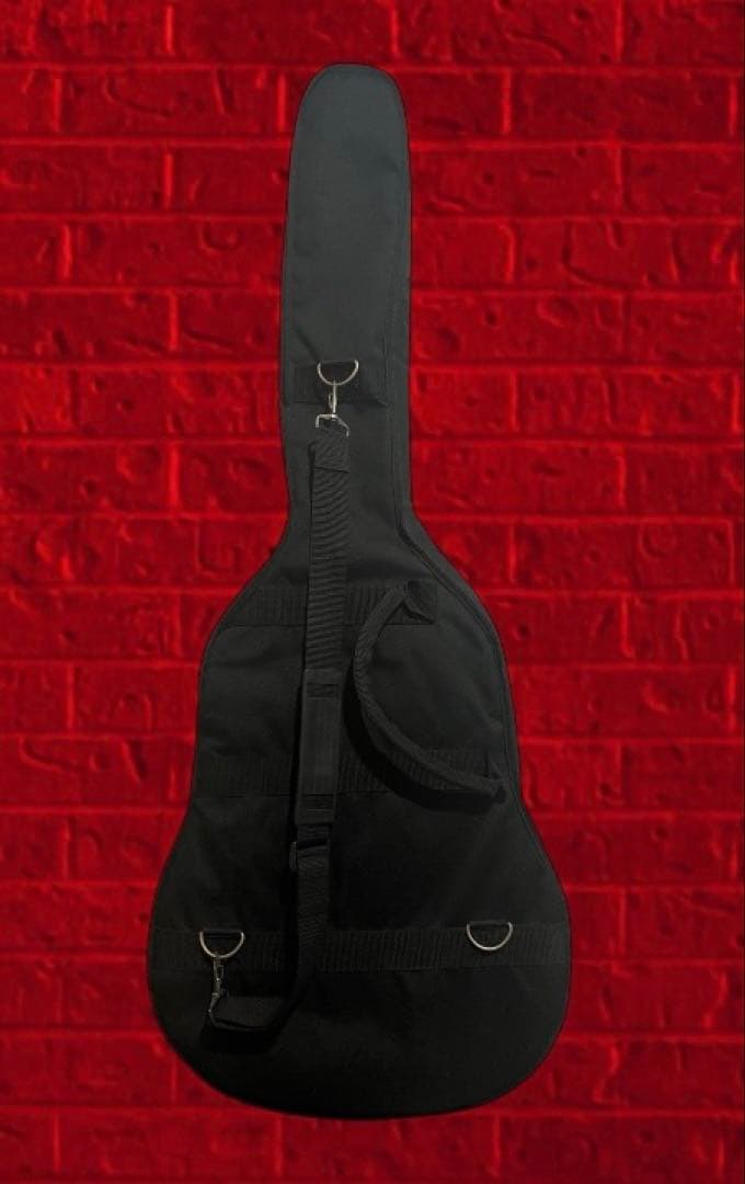 Fina アコースティックギターGuitar FAW-700/NT