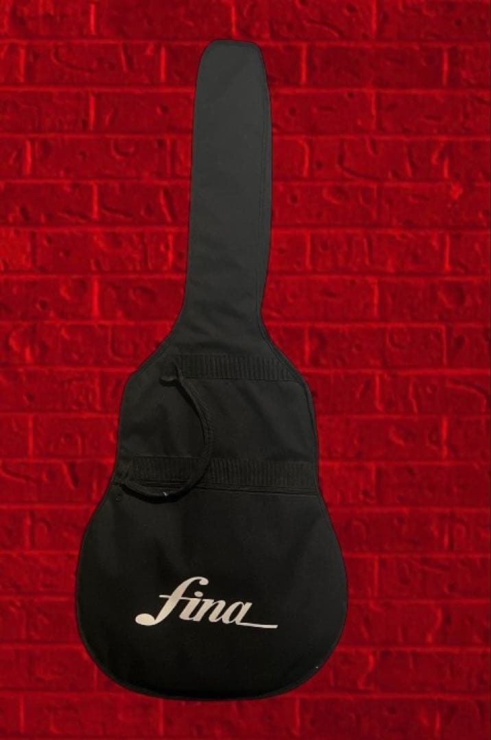 Fina アコースティックギターGuitar FAW-700/NT