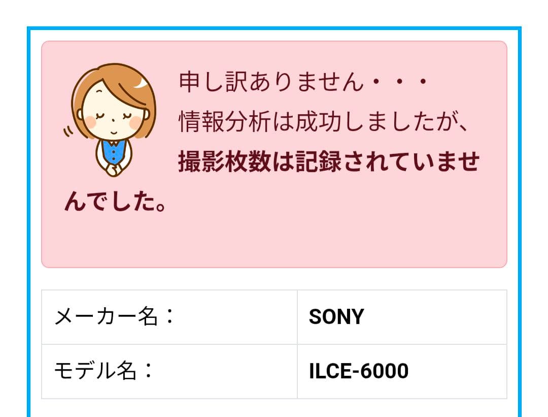 【動作確認済み】SONY α6000 レンズキット動作確認済み