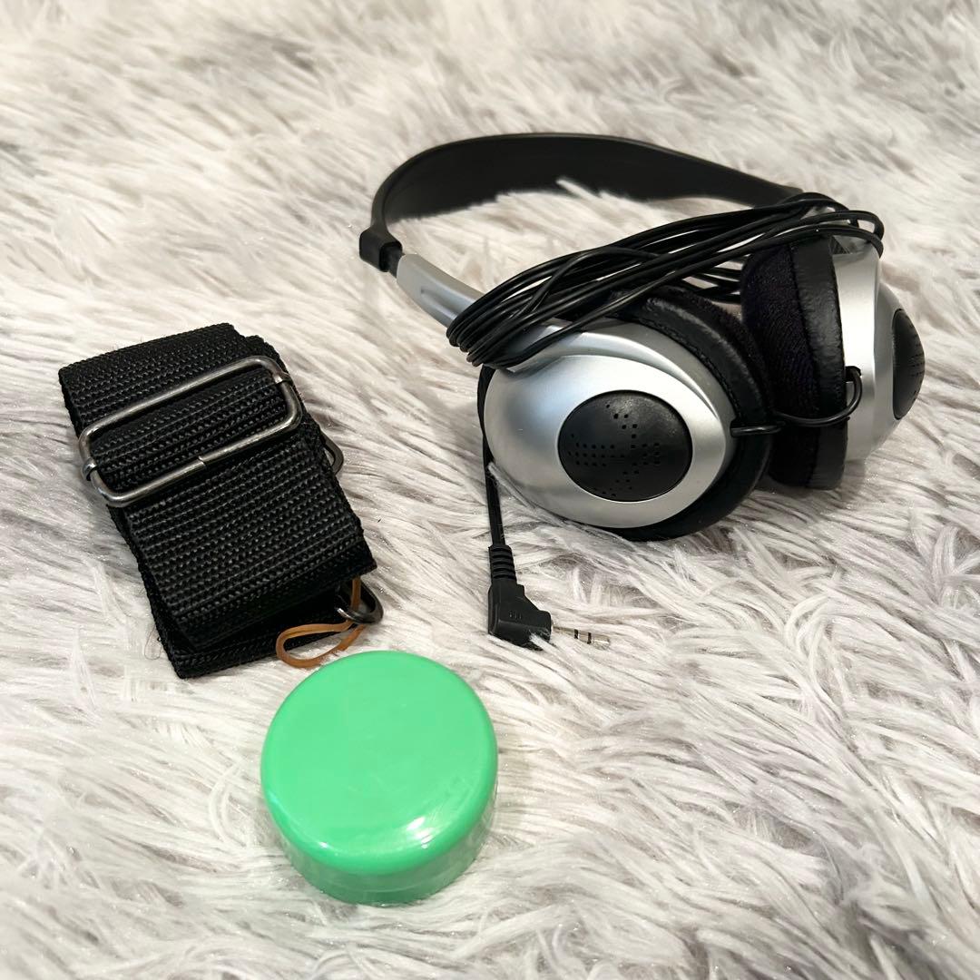 極美品 Carlo giordano Silenzia EV202 バイオリン