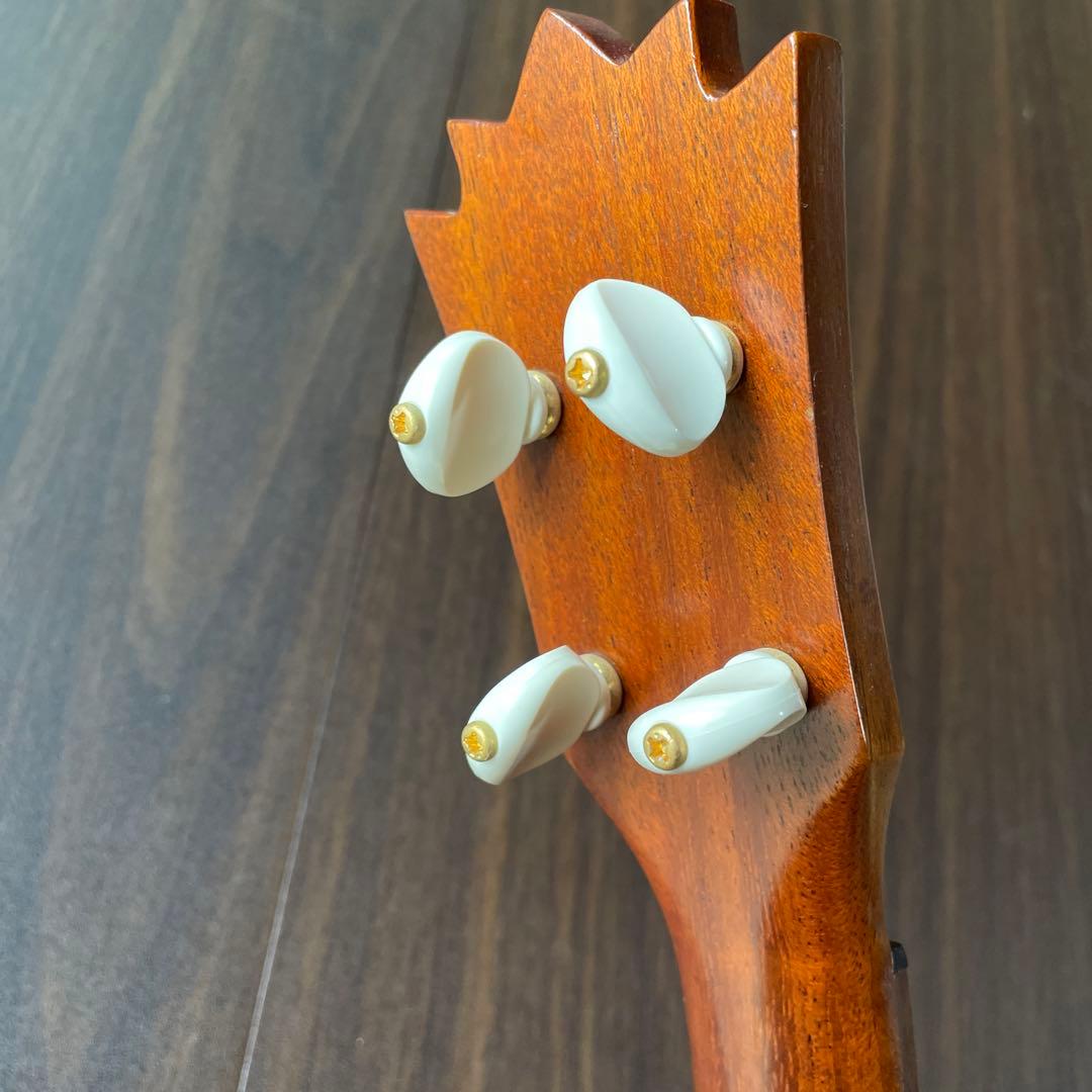 Pupukea UF-P20 パイナップルソプラノ