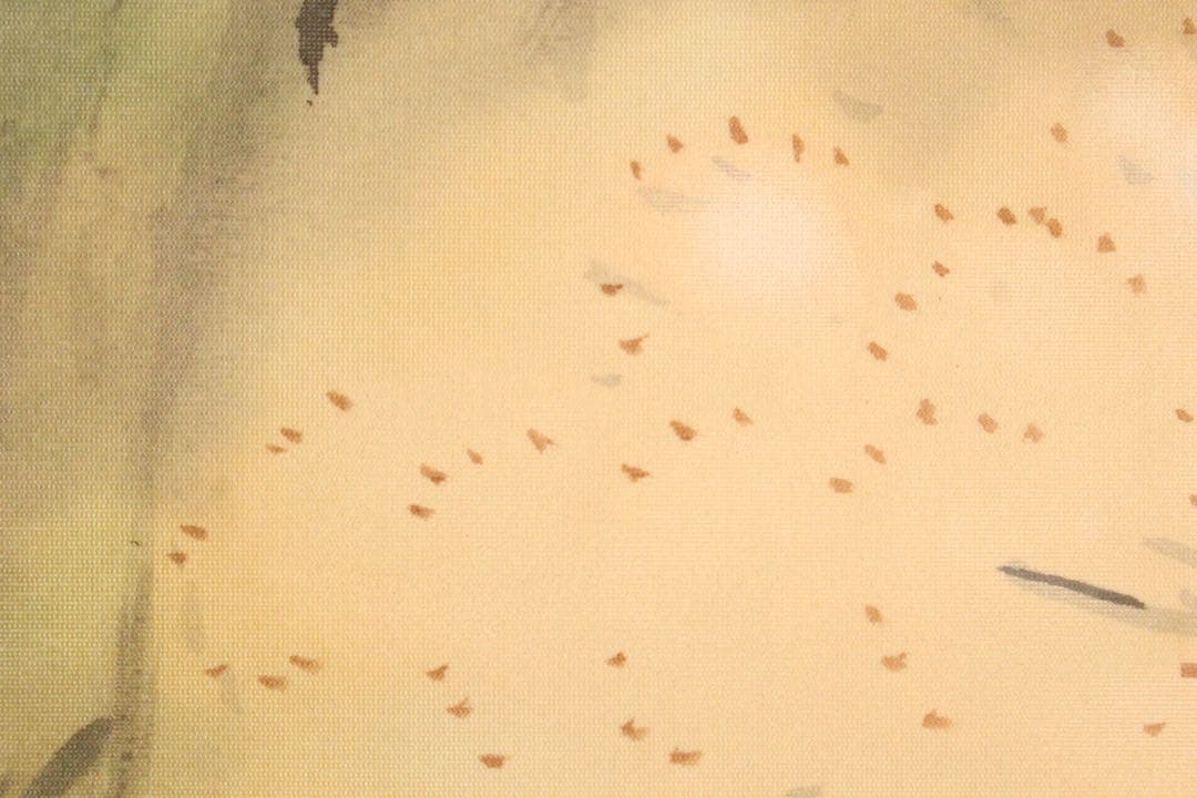 No5252 掛軸　加畑晃風　「嵐峡桜」　絹本着色　金銘　共箱　日本画　送料無料