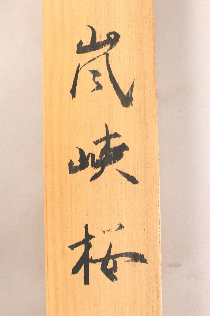 No5252 掛軸　加畑晃風　「嵐峡桜」　絹本着色　金銘　共箱　日本画　送料無料