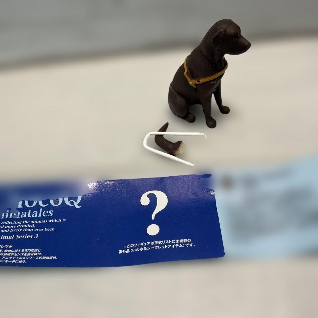 チョコエッグ シークレット9種10体セット