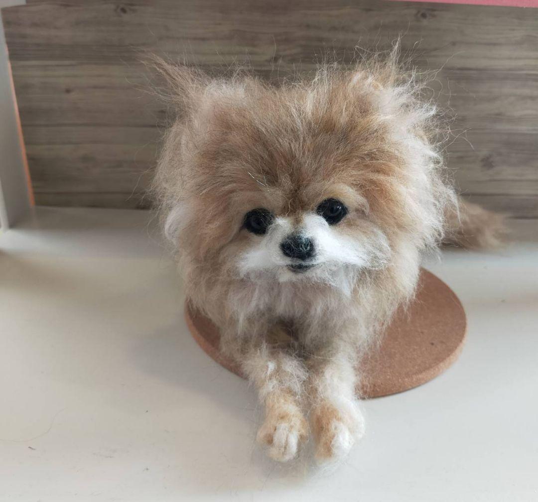 羊毛フェルト　ハンドメイド　かずぽっち