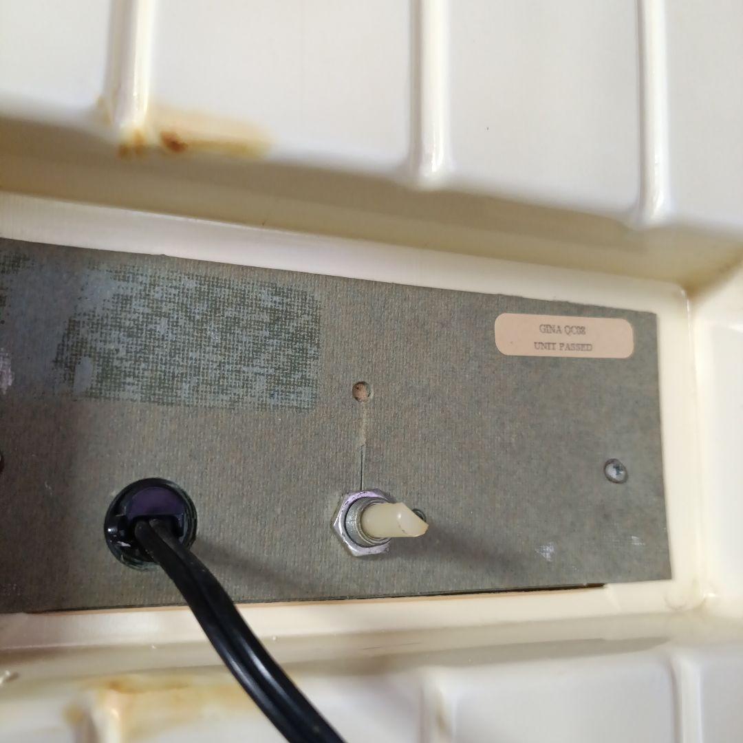 骸骨の立体壁掛けオブジェ