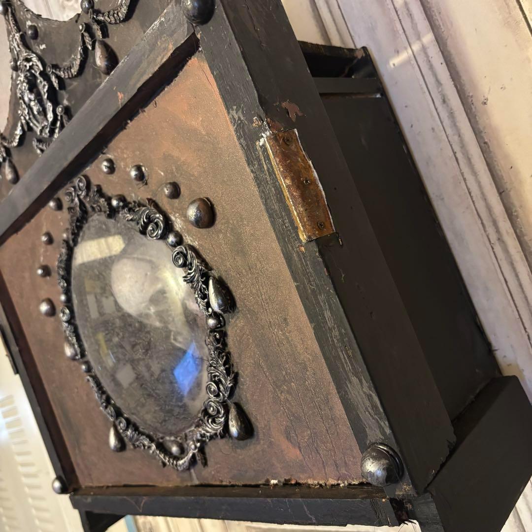 【Special Price】 双頭人魚の剥製展示箱