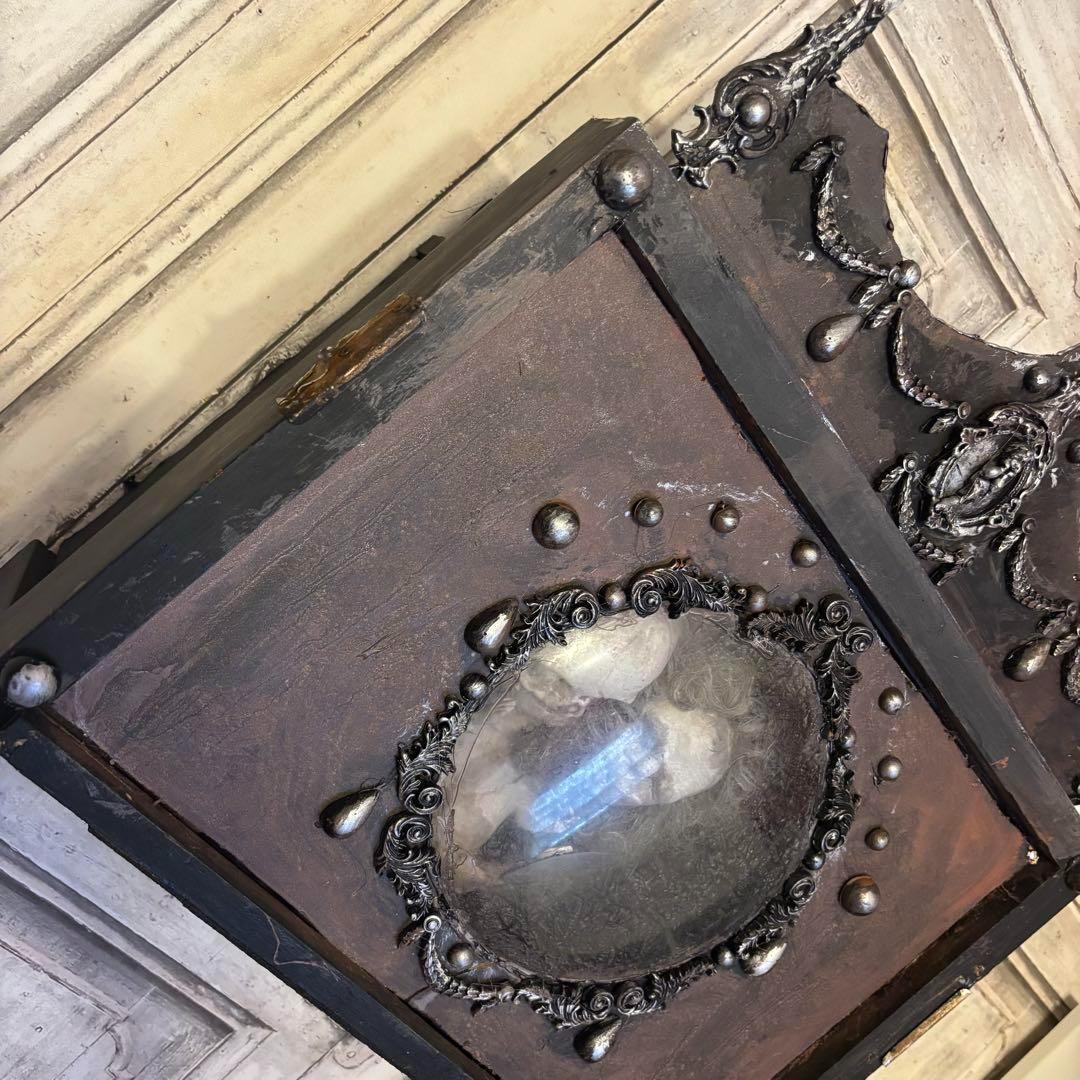 【Special Price】 双頭人魚の剥製展示箱