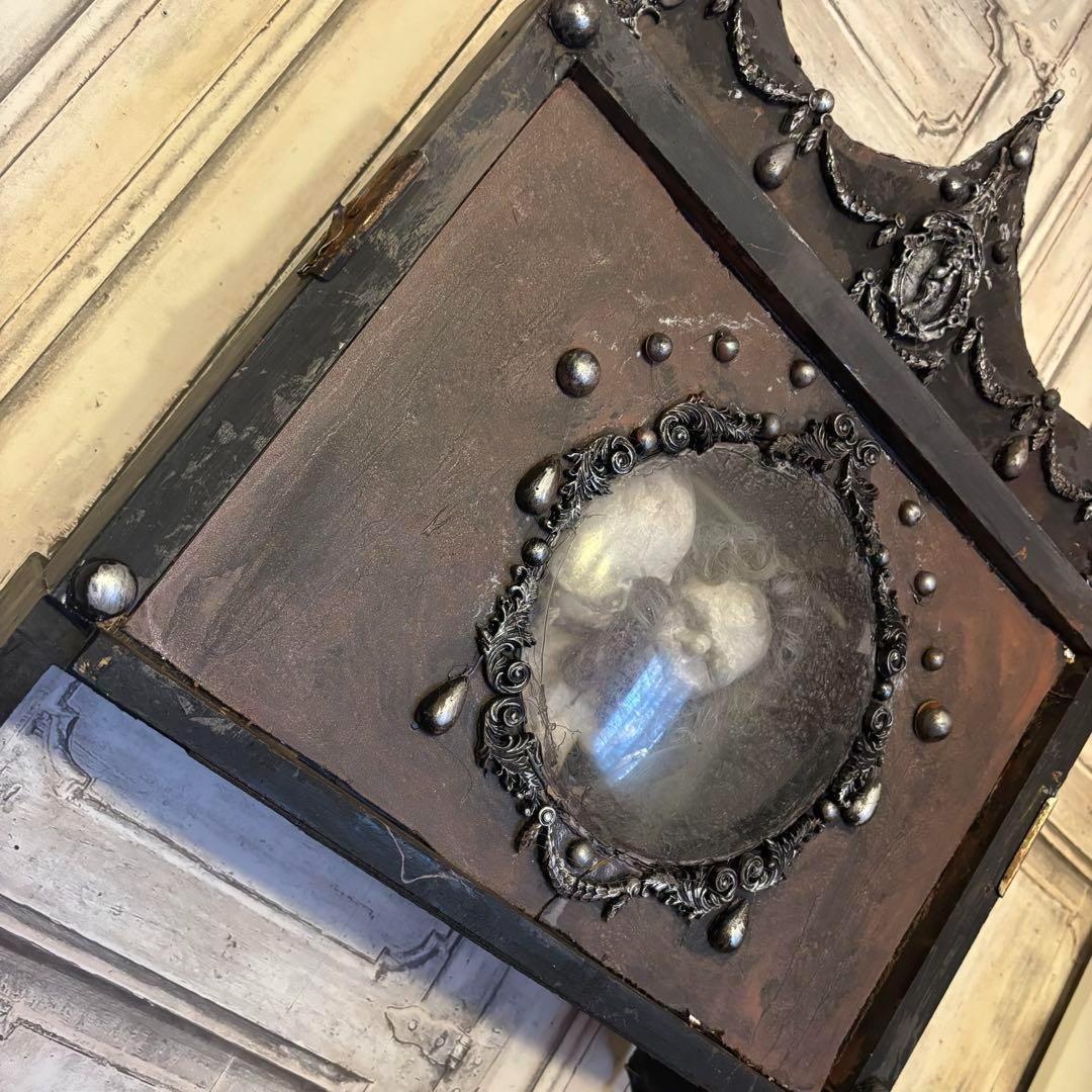 【Special Price】 双頭人魚の剥製展示箱