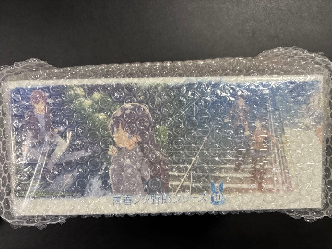 青春ブタ野郎　文庫版全巻収納BOX＋特装版収納BOX＋アクリルプレート付きセット