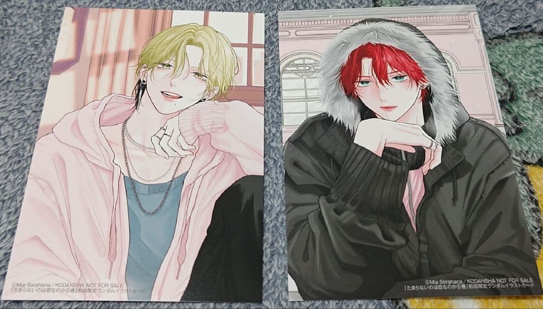 佐々木と宮野　平野と鍵浦　たまらないのは恋なのか　世界一初恋　純情ロマンチカ　他