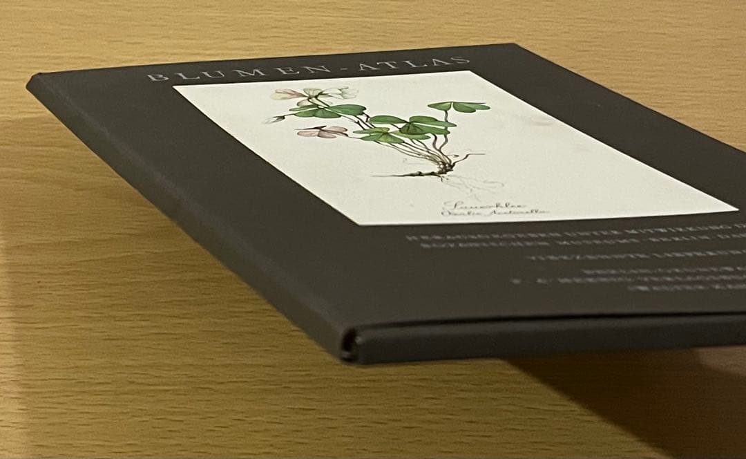 No.438ドイツ ヴィンテージ 紙もの ボタニカルアート 植物図鑑 水彩画