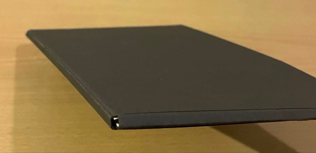 No.438ドイツ ヴィンテージ 紙もの ボタニカルアート 植物図鑑 水彩画