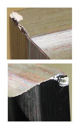 ジェームス・コールマン【Moonlight Proposal】証明書有り