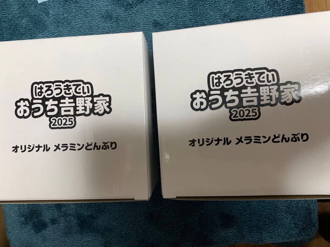 吉野家　はろうきてぃ　2025 オリジナルメラミンどんぶり　キティ ２個セット
