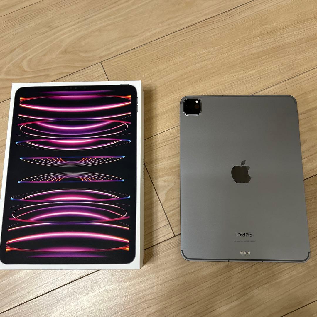 専用美品 11インチ iPadPro 第4世代 セルラー 256GB スペースグ