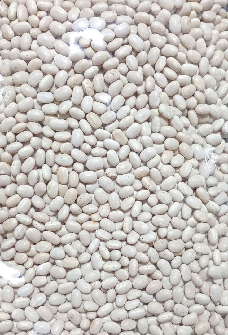 長野県産白いんげん豆　磨き薬品不使用　大手亡豆 5kg　白餡　数量限定　食品