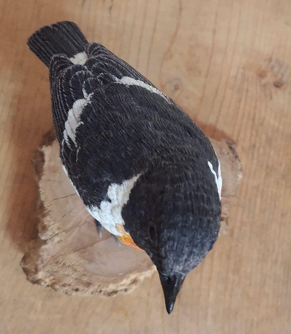 バードカービング　\"ノビタキ”