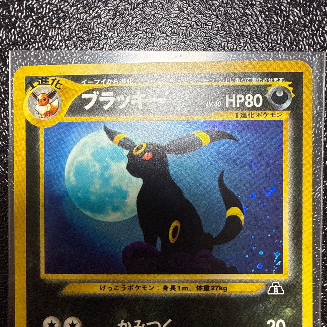 ブラッキー　旧裏　美品