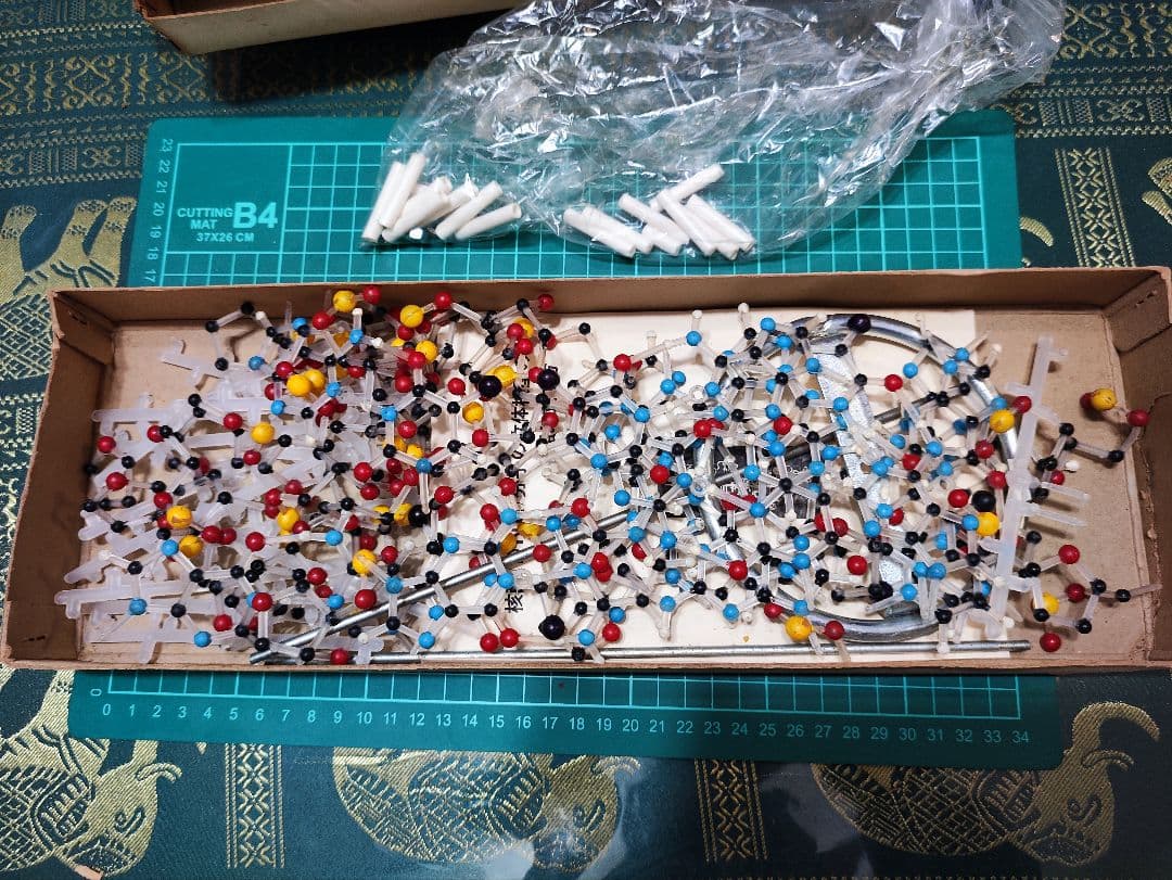 DNA立体模型 オミグロビン立体模型 共立出版