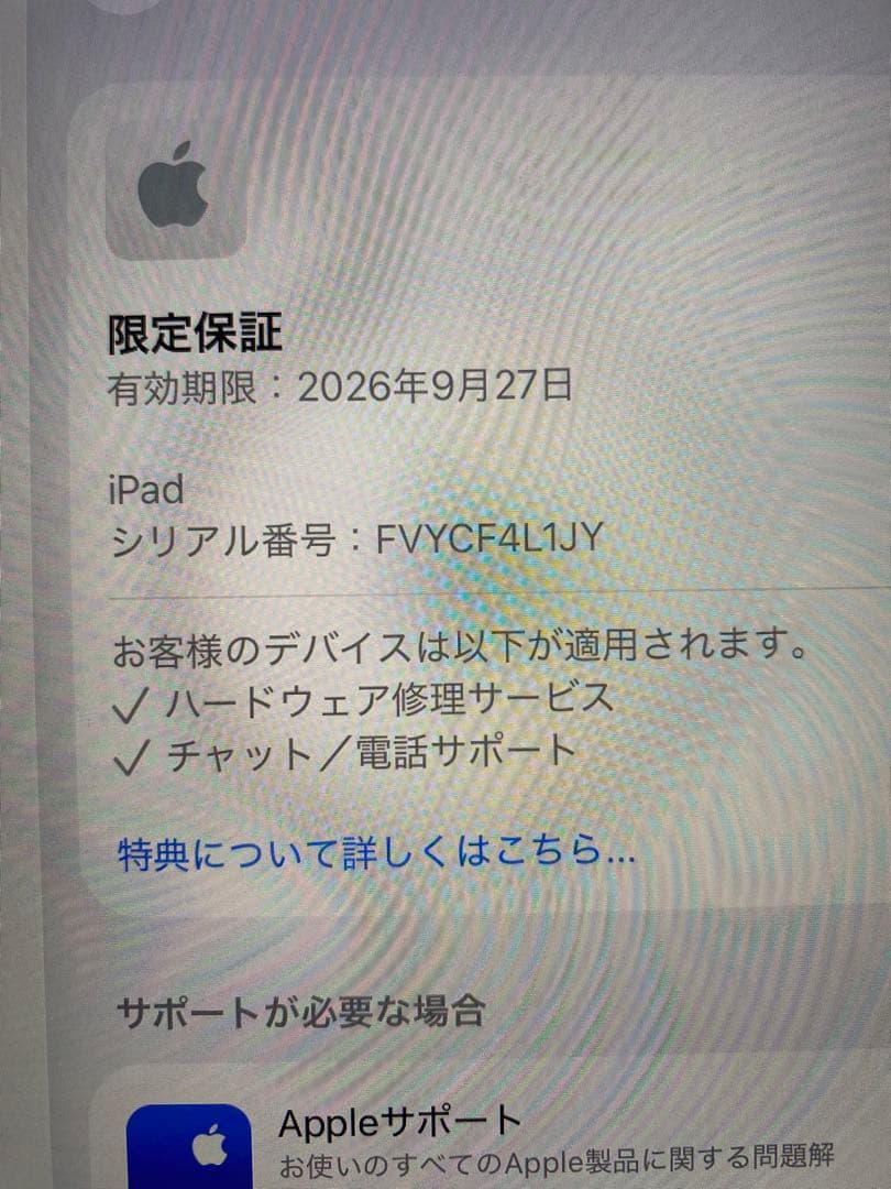 【美品】iPad 第11世代 11インチ 256GB シルバー Wi-Fi