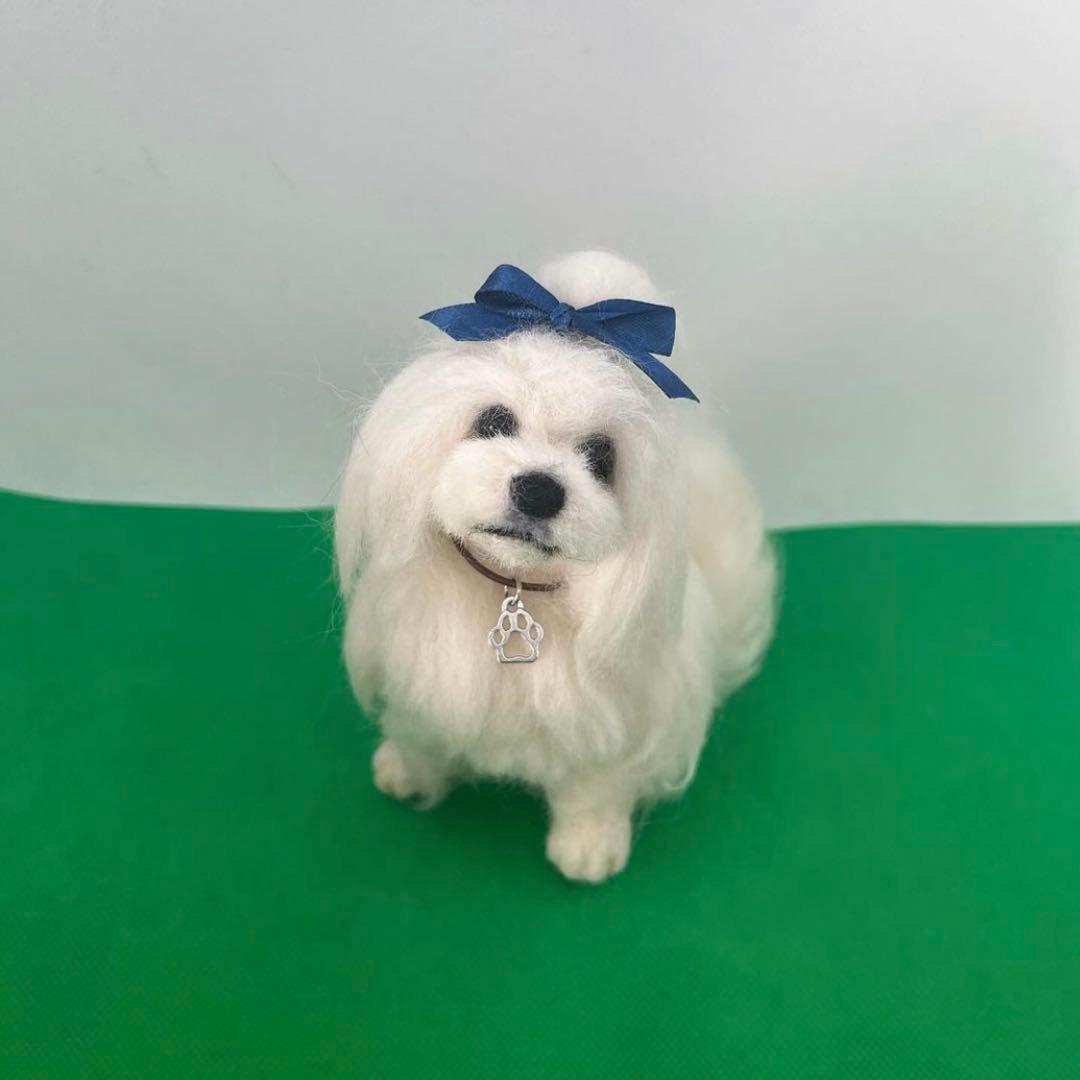 羊毛フェルト 柴犬 トイプードル マルチーズ