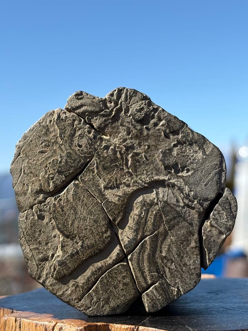 ❗️✳️厳選　超レア　❤️*天然形 極みの逸品 夜郎・古銅石 原石　握り石　大