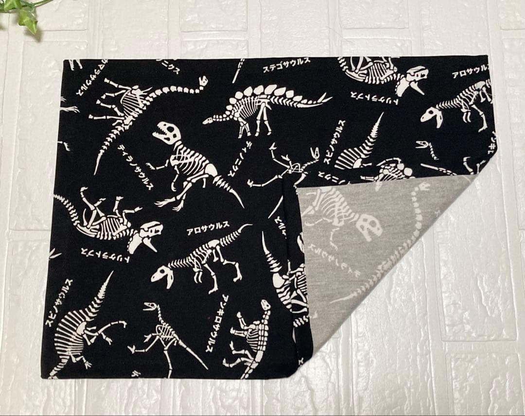 恐竜　6点セット　入園入学　ブラック