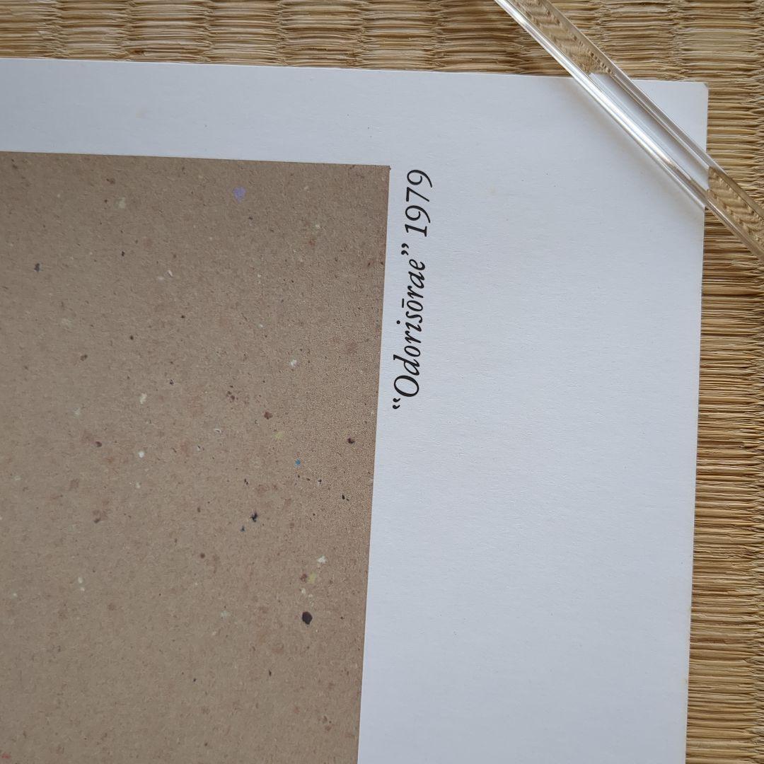 (Z-13-2) 【CAMOY展　ポスター 1991年 大阪市立美術館】