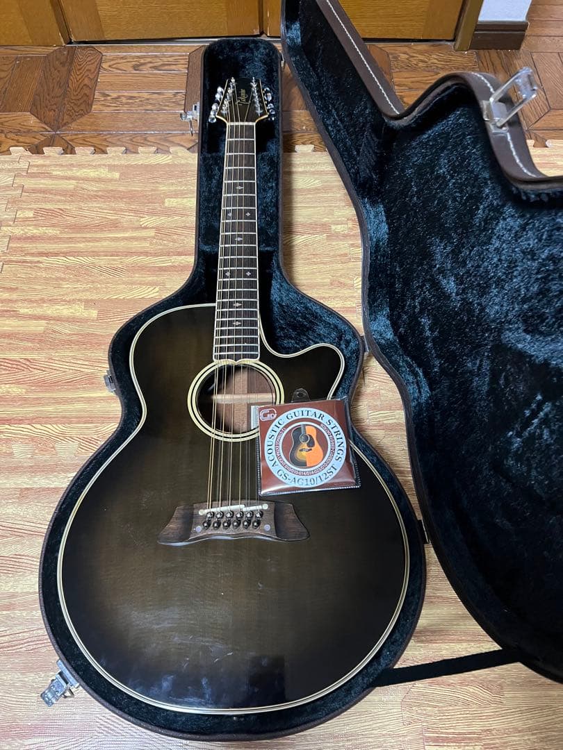 Takamine　NPT110-12　12弦Guitar ハードケース付き