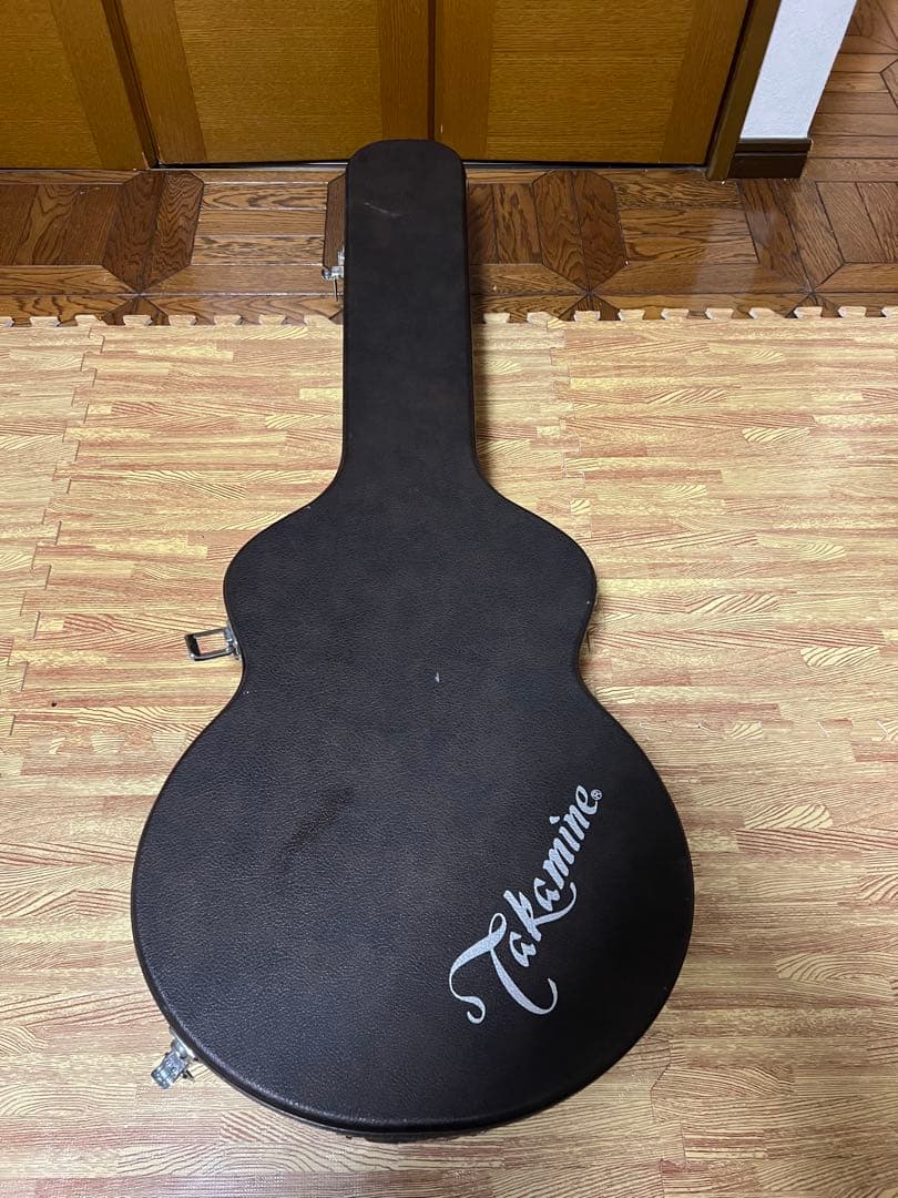 Takamine　NPT110-12　12弦Guitar ハードケース付き