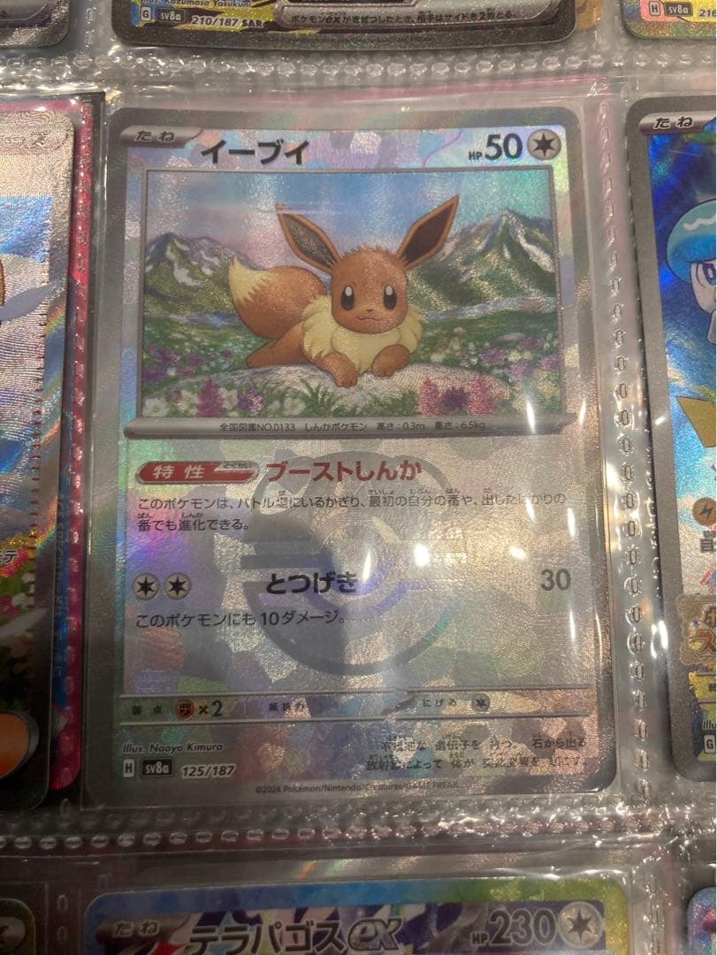 ね*こ様 ポケモンカード まとめ売り 引退品