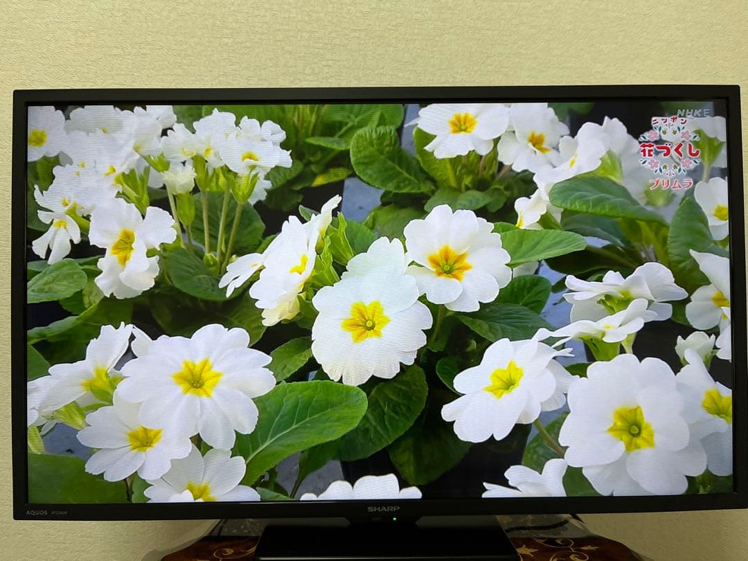 SHARP AQUOS 液晶テレビ2022年製