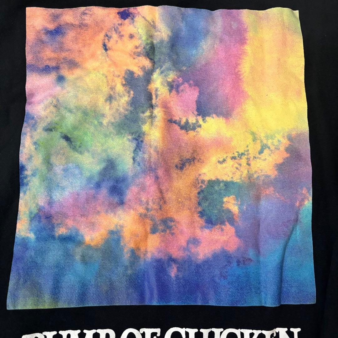 BUMP OF CHICKEN なないろZip up Hoodieパーカー L