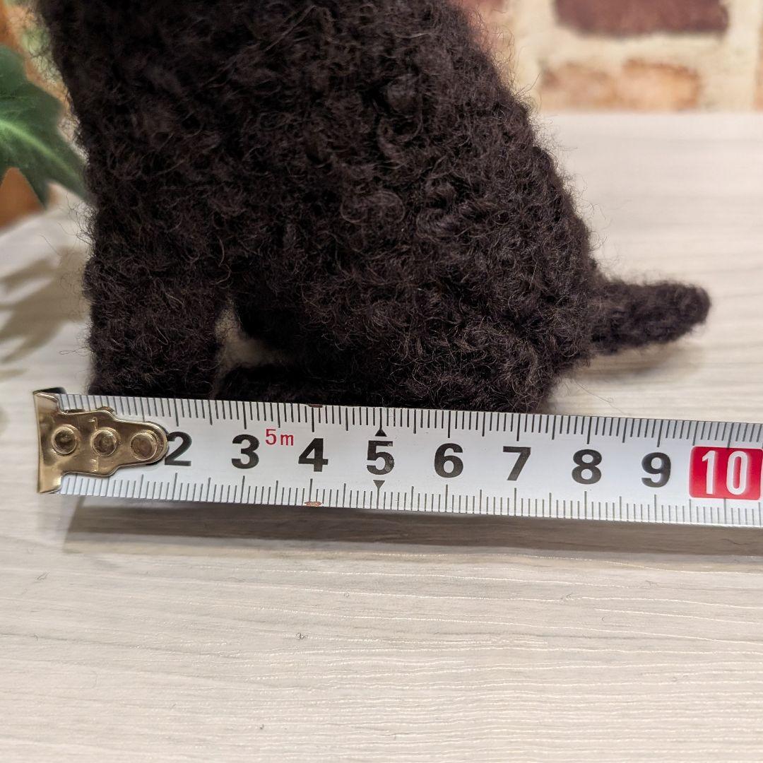 黒トイプードル♡