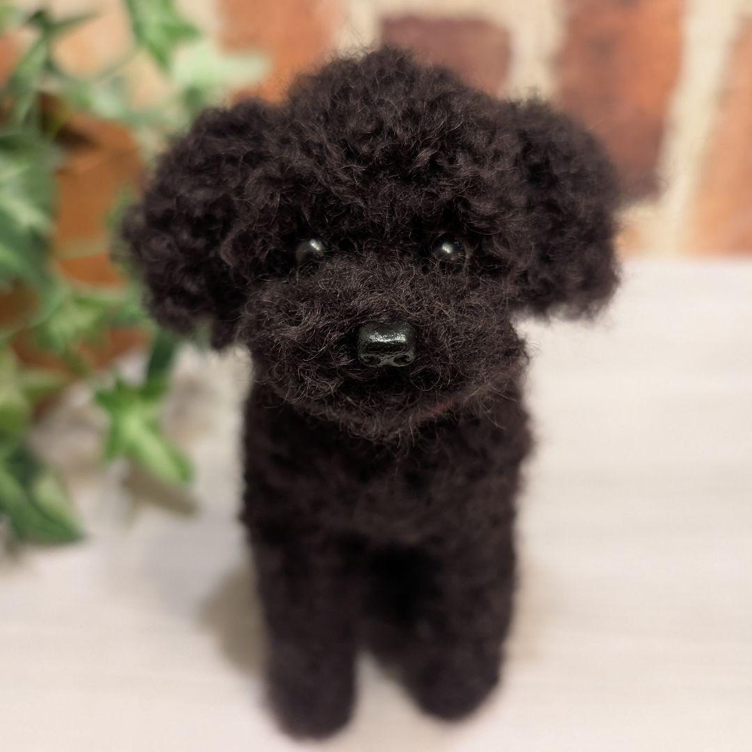 黒トイプードル♡